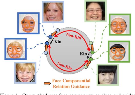 pull in and figure newly kinship