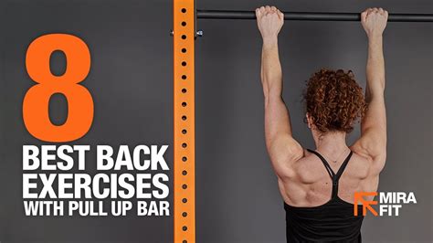 Pull Up Bar Back Workout