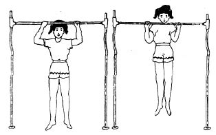 New Pull Ups Aahper Test Ideas