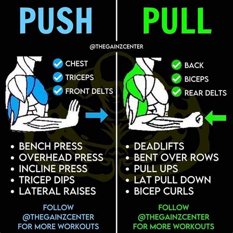 Pull Vs Push Gym