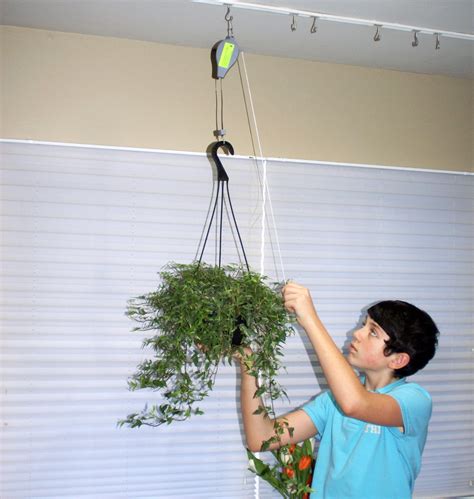 Pulley System For Plants