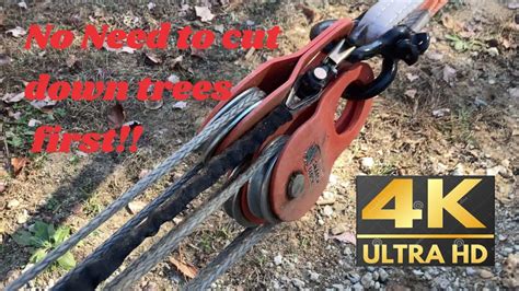 Pulling Trees Down With Pulleys