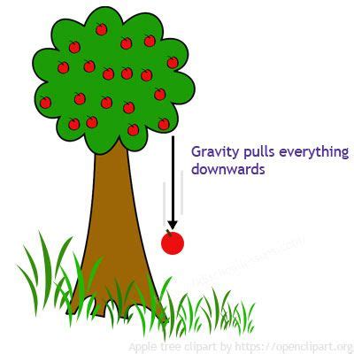 Pulls Everything Meaning