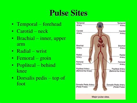 Pulse Definition For Dummies