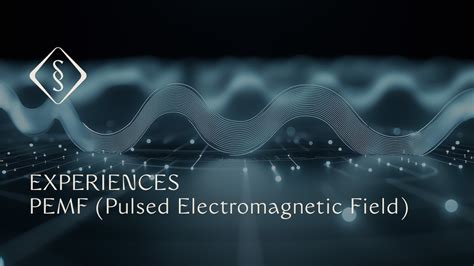 Pulsed Electromagnetic Field Pl