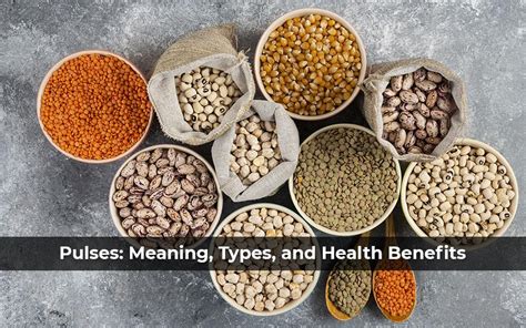 Pulses Meaning And Example