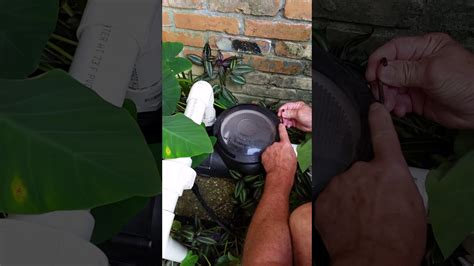 Pump Basket Lid Stuck