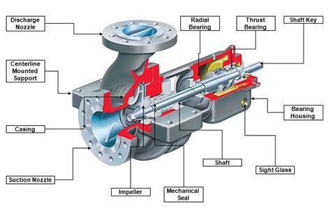Pump Components And Functions