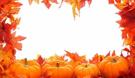 Autumn Pumpkin transparent PNG - StickPNG
