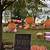 pumpkin patch birthday party ideas