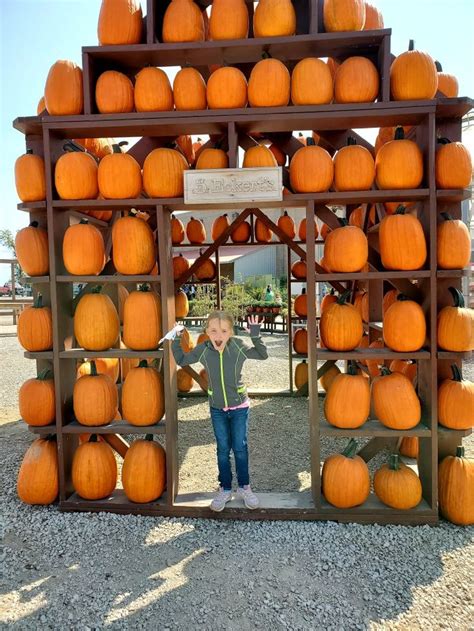 Here are 19 Great Missouri Pumpkin Patches