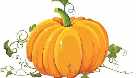 pumpkin png clipart 10 free Cliparts | Download images on Clipground 2024