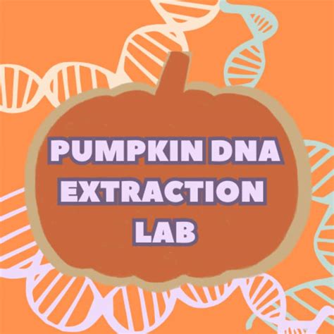 Pumpkin Dna Lab