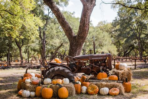 pumpkin patch and hayride near me
