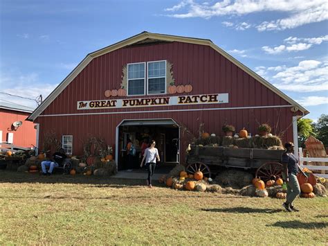 pumpkin patch in al