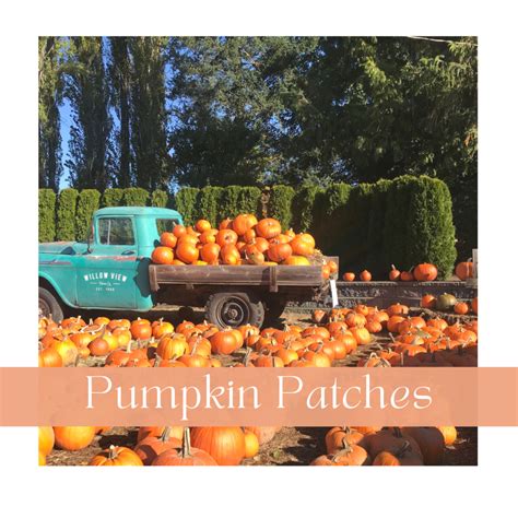 pumpkin patch myrtle beach sc