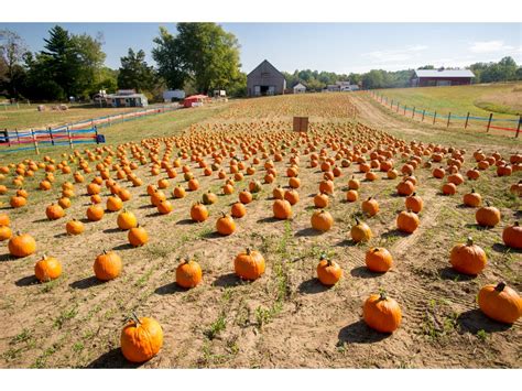 Pumpkin Patch Near Me October