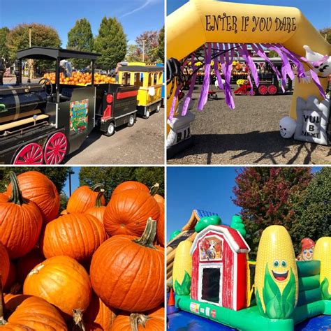 pumpkin patch reston va