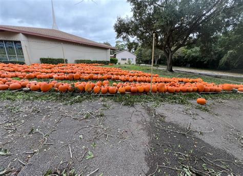 pumpkin patch vero beach fl