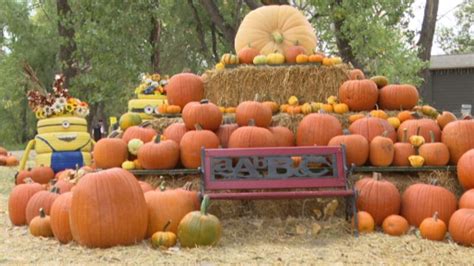 pumpkin patch williston nd