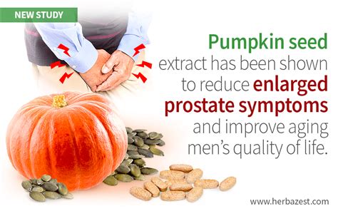Pumpkin Seed Oil Prostate Study