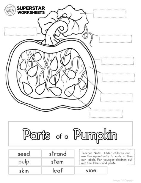 Pumpkin Worksheet Fun