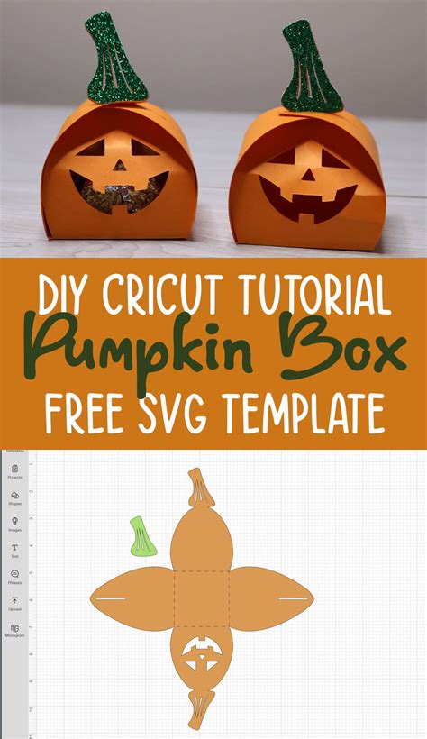 Download pumpkin-box SVG