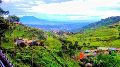 Puncak Bogor