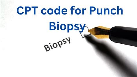 Punch Biopsy Cpt Code