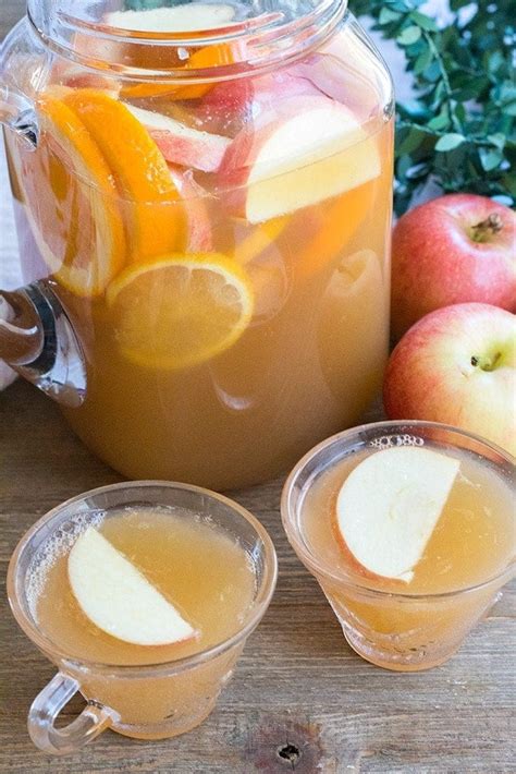 punch with ginger ale