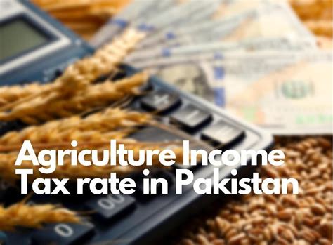 punjab agriculture income tax rate 2018