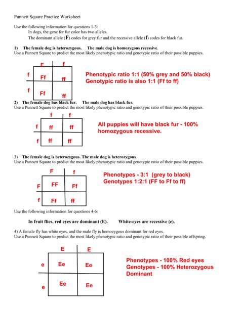 punnett square practice worksheet with answers