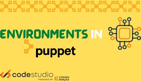 Puppet Define Environment