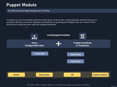Puppet Module Define
