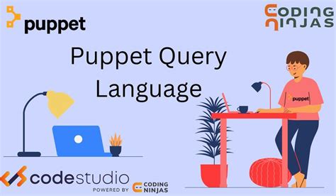 Puppet Query Example