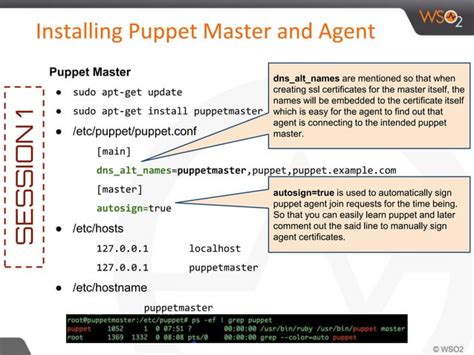 Puppet Quick Start