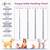 puppy eating chart