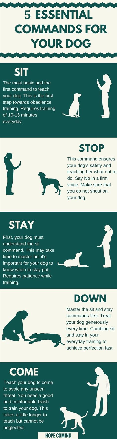Puppy Basic Commands
