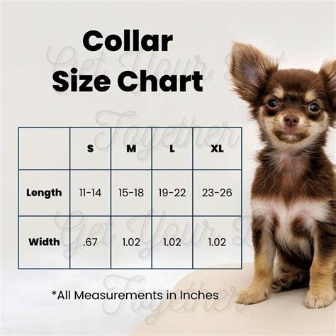Puppy Collar Sizes