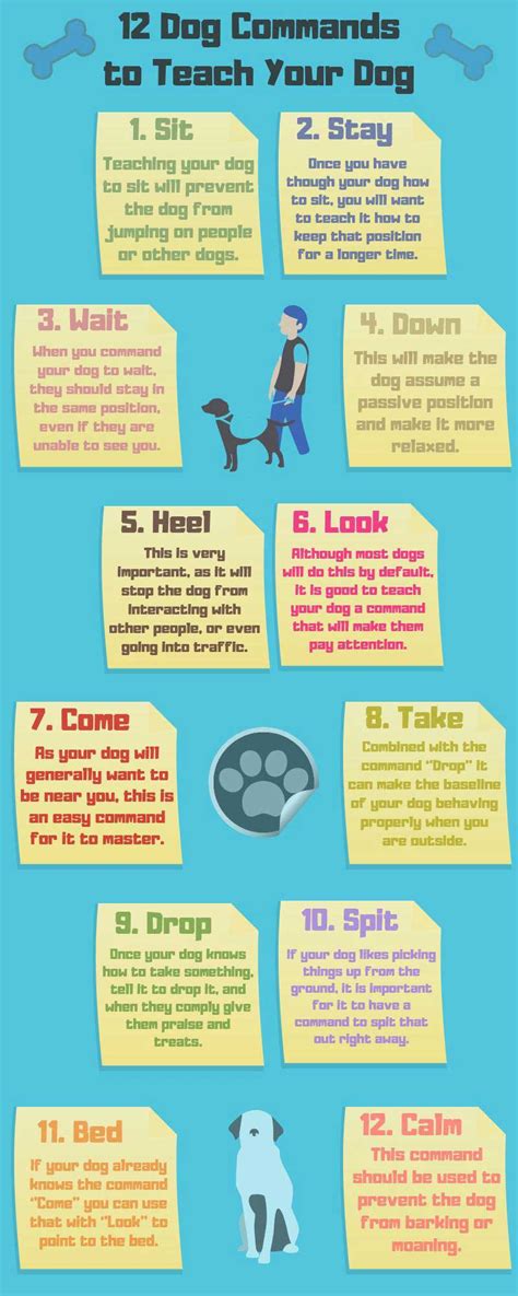 Puppy Commands List