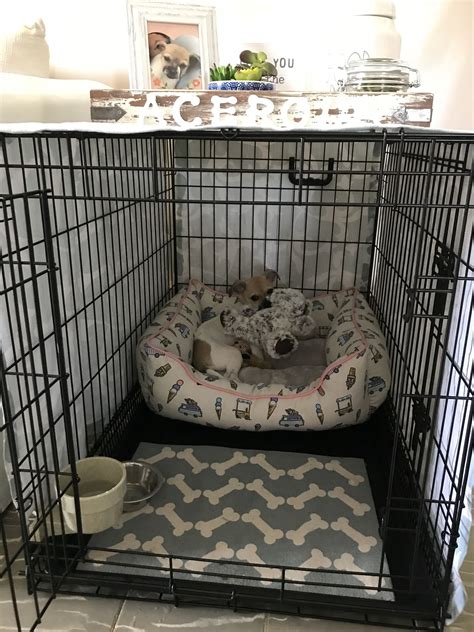 Puppy Crate In Bedroom Or Downstairs