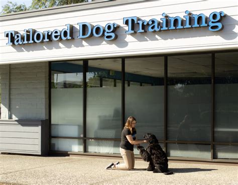 Puppy training tailored solutions