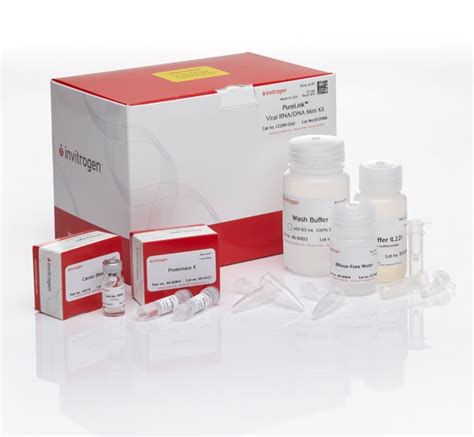 purelink rna extraction kit