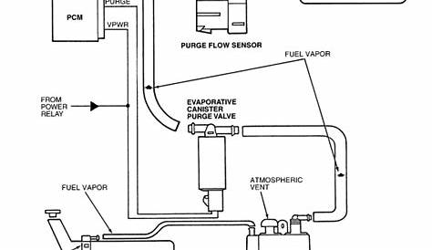Purge Valve Diagram What Is The Location Of The Evap On The 1996