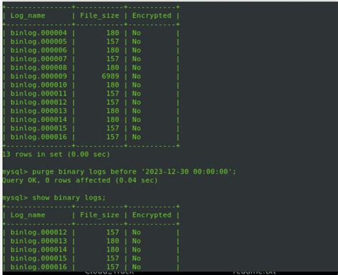 Purge Binary Logs To Mariadb