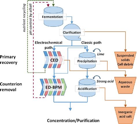 Purification Downstream Processing
