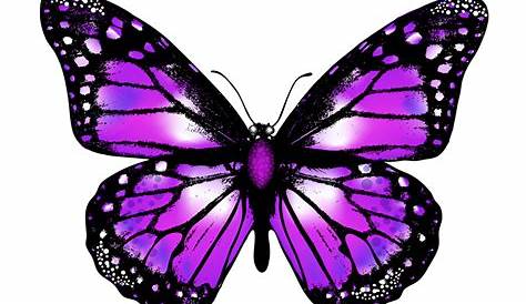 Purple Butterfly PNG Clipart | Gallery Yopriceville - High-Quality Free