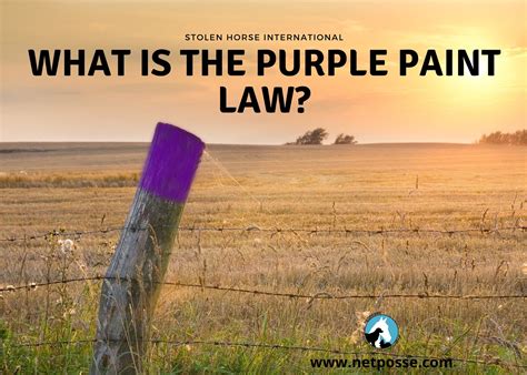 Purple Paint Law Trespassing Rules & Regulations Home and Gardening