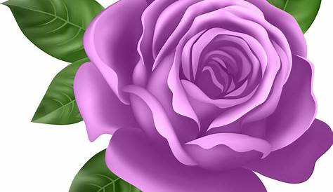 ForgetMeNot: purple roses