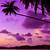 purple tropical wallpaper
